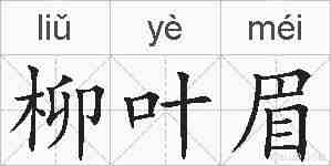柳叶眉的拼音