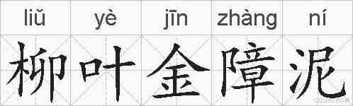 柳叶金障泥的拼音