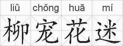 柳宠花迷的拼音