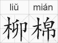 柳棉的拼音