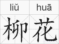 柳花的拼音