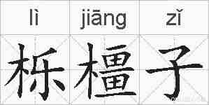 栎橿子的拼音