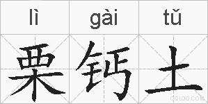 栗钙土的拼音
