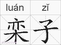 栾子的拼音