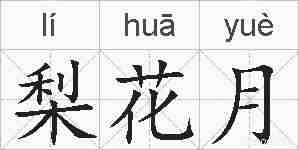 梨花月的拼音