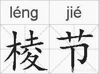 棱节的拼音
