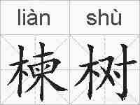 楝树的拼音