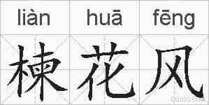 楝花风的拼音