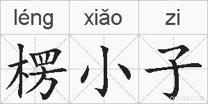 楞小子的拼音