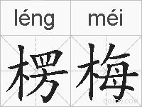 楞梅的拼音