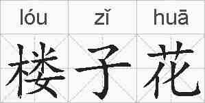 楼子花的拼音