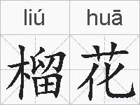 榴花的拼音