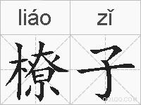 橑子的拼音
