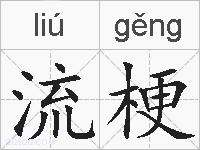流梗的拼音