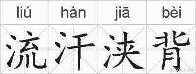 流汗浃背的拼音