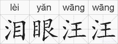 泪眼汪汪的拼音