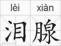 泪腺的拼音