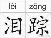 泪踪的拼音