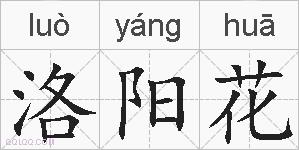 洛阳花的拼音