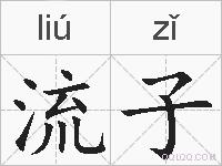 流子的拼音