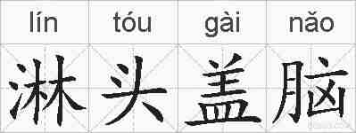 淋头盖脑的拼音