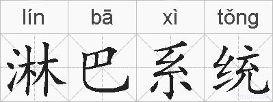 淋巴系统的拼音