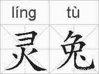 灵兔的拼音