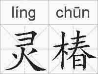 灵椿的拼音