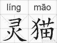灵猫的拼音