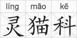 灵猫科的拼音