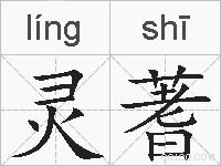 灵蓍的拼音