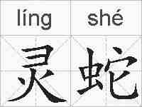 灵蛇的拼音
