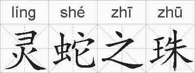 灵蛇之珠的拼音