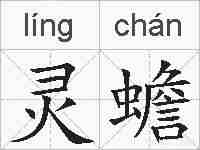 灵蟾的拼音