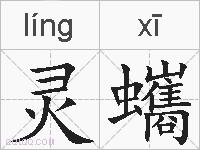 灵蠵的拼音