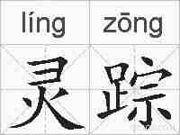 灵踪的拼音