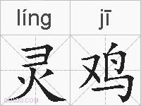 灵鸡的拼音
