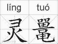 灵鼍的拼音
