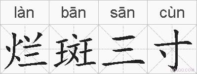 烂斑三寸的拼音