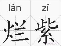 烂紫的拼音