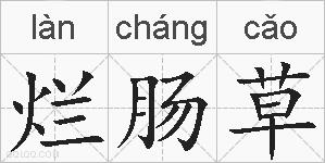 烂肠草的拼音