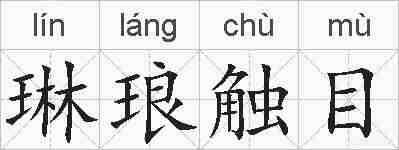 琳琅触目的拼音
