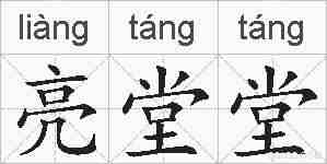 亮堂堂的拼音