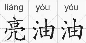 亮油油的拼音