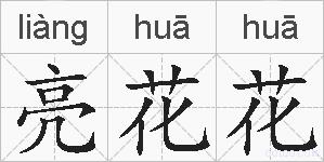 亮花花的拼音