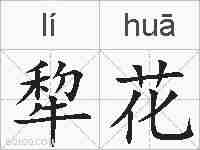 犂花的拼音