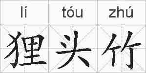 狸头竹的拼音