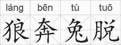 狼奔兔脱的拼音