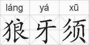狼牙须的拼音