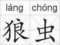 狼虫的拼音